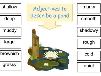 Pond word bank