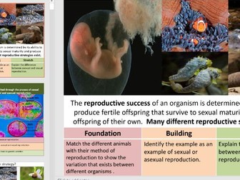 Yr12 Mod 5 Heredity Reproduction, internal vs external fertilisation, pollination, sexual vs asexual