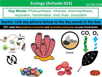 Ecology (Activate KS3)