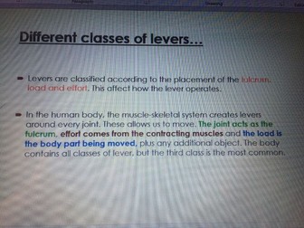 Fitness and Body Systems, LEVERS