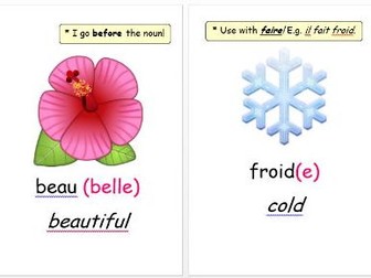 Emoji Adjectives Display (French)