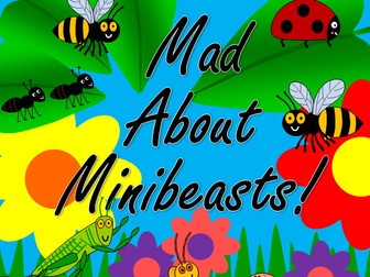 Mad About Minibeasts story topic pack- mini beasts, insects