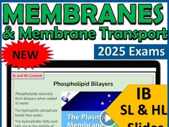 IB Biology B2.1 Membranes and Membrane Transport - First Exams 2025