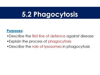 AQA A-Level 5.2 Phagocytosis