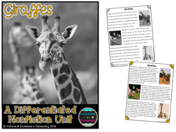 Differentiated Nonfiction Unit: Giraffes