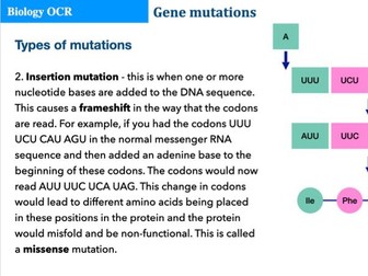 OCR A level Biology Gene mutations PowerPoint presentation