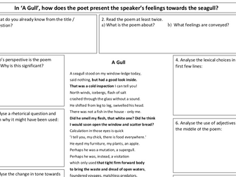 Unseen Poetry analysis worksheet -A Gull