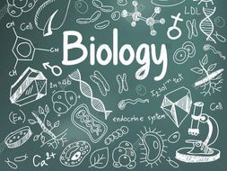 AQA B1 Cell Biology Revision