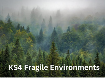 Amazon Rainforest: Causes and Management