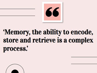 AAQ - Early Childhood Dev - Information Processing