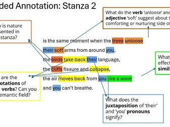 The Moment by Margaret Atwood - Lesson PPT