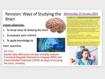 Ways of Studying the Brain Revision Lesson