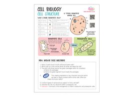 cells worksheet biology gcse 2016 teaching resources