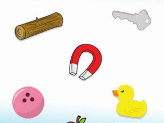 Floating and Sinking: Forces in Action