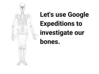 The Skeletal System - #GoogleExpeditions