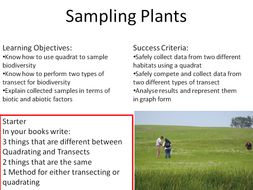Sampling Plants New GCSE Bio Indoors/Outside