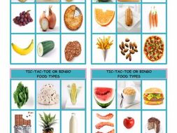 Food Types Tic-Tac-Toe or Bingo
