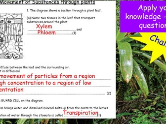 Plant transport systems (GCSE)