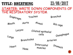 Breathing - complete lesson (KS3) | Teaching Resources