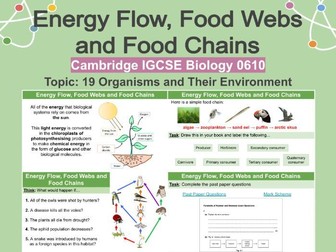 Energy Flow, Food Webs and Food Chains
