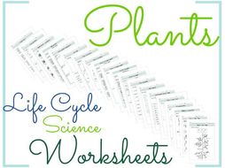 Plants Life Cycle Science Worksheets 15