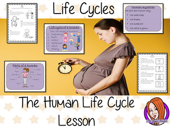 Human  Life Cycles   -  Complete Science Lesson