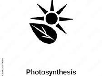 complete and documented note on  photosynthesis in plants