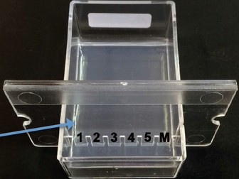 Gel electrophoresis lab using food dyes