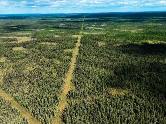 Studying and restoring Canada’s peatlands and their carbon storage superpower