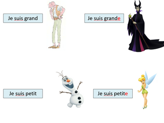 Introduction to physical descriptions in French
