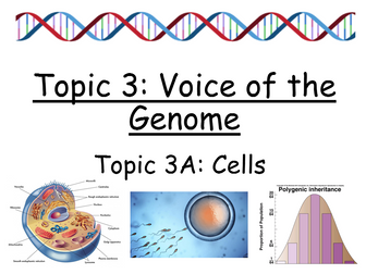 Edexcel SNAB Biology - Topic 3: Voice of the Genome- Topic 3A: Cells