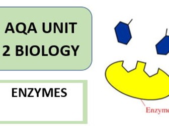 ENZYMES - GCSE BIOLOGY AQA