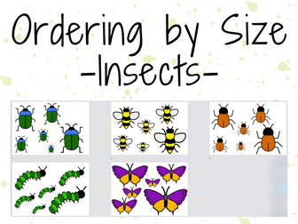 Ordering by Size (Insects)