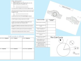 Mitosis & The Cell Cycle Lesson EDEXCEL
