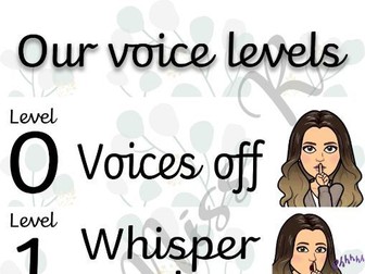 Classroom voice levels