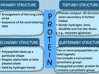 Biological molecules summary sheets