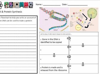 30 Protein Synthesis Worksheet Answers Part B - Notutahituq Worksheet