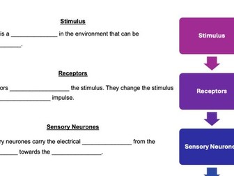 GCSE AQA Combined Science Nervous System Gap Fill