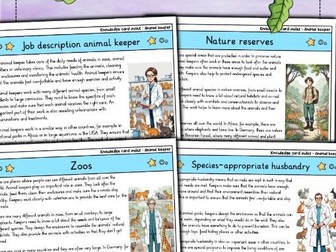 Animal Caretaker | Veterinary Care | Animal Husbandry & Welfare Support