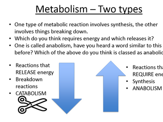 New Biology A Level OCR 5.7.1 The need for cellular respiration
