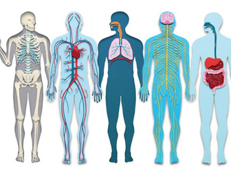 Human Biology