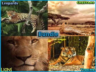 Big Cats - PowerPoint and Activities Bundle