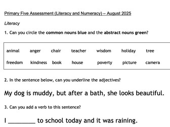 Basic Primary Five Assessment (Literacy and Numeracy)