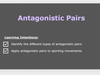 A Level PE - Antagonistic Pairs