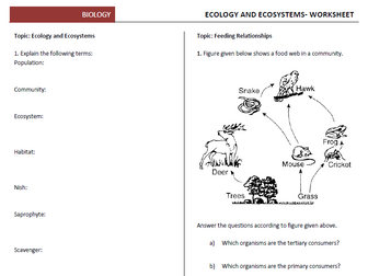 Ecology and Ecosystems Worksheets