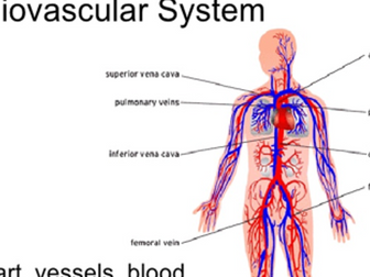 cardio vascular system topic 1.2.2