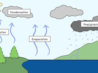 The Water Cycle Lesson GCSE Biology