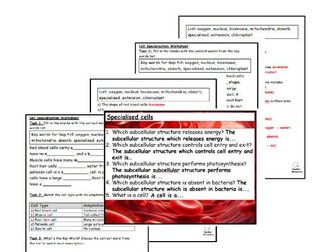 Complete Specialised Cells Lesson Package for SEN & Low-Ability Students