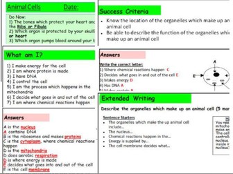 KS3 Animal Cells Complete Lesson