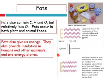 IGSCE - Biology - chapter 7 - Human Nutrition - 1.1. DIET